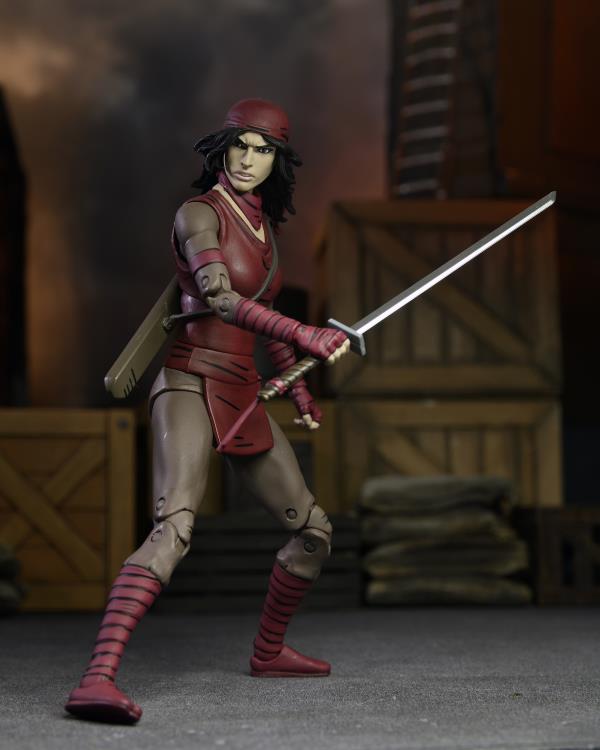 Teenage Mutant Ninja Turtles The Last Ronin Ultimate Karai