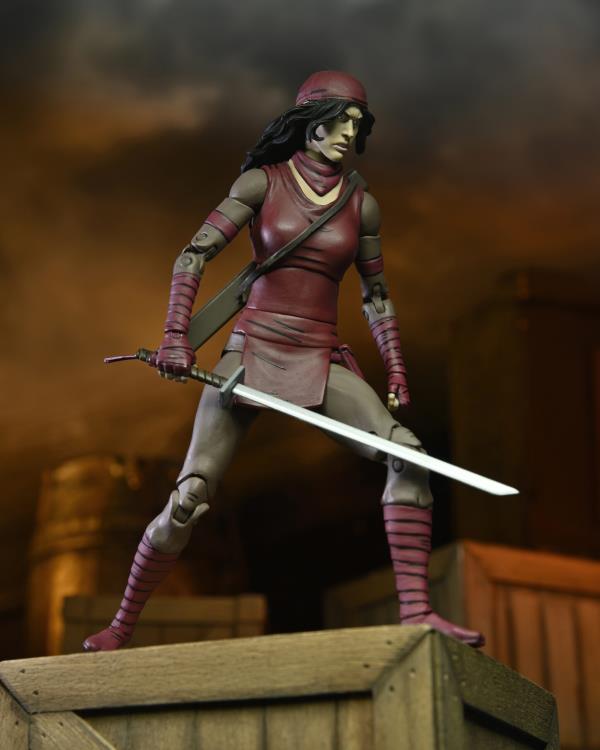 Teenage Mutant Ninja Turtles The Last Ronin Ultimate Karai