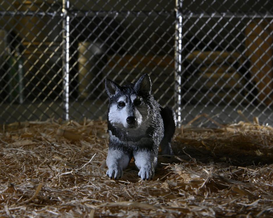 The Thing Ultimate Dog Creature Set Neca