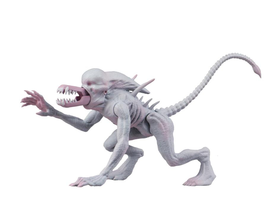 Alien & Predator Classics Wave 1 Set of 2 Figuras Neca
