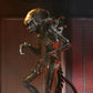 Alien Romulus Ultimate Scorched Alien Xenomorph