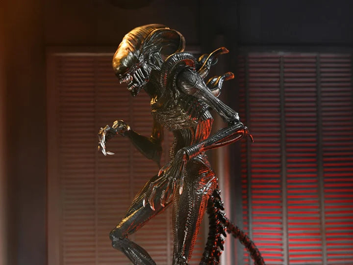 Alien Romulus Ultimate Scorched Alien Xenomorph