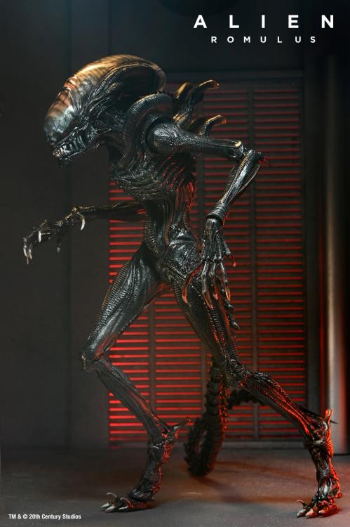 Alien Romulus Ultimate Scorched Alien Xenomorph