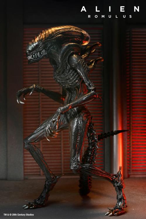 Alien Romulus Ultimate Scorched Alien Xenomorph