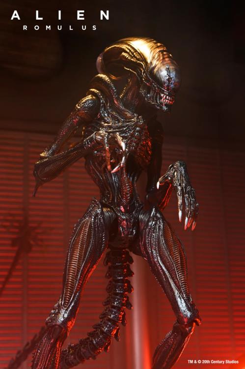 Alien Romulus Ultimate Scorched Alien Xenomorph