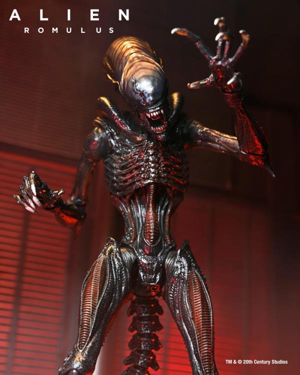 Alien Romulus Ultimate Scorched Alien Xenomorph