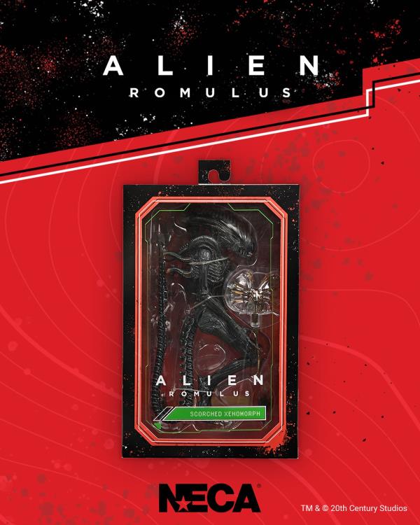 Alien Romulus Ultimate Scorched Alien Xenomorph