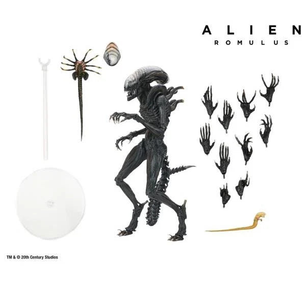 Alien Romulus Ultimate Scorched Alien Xenomorph