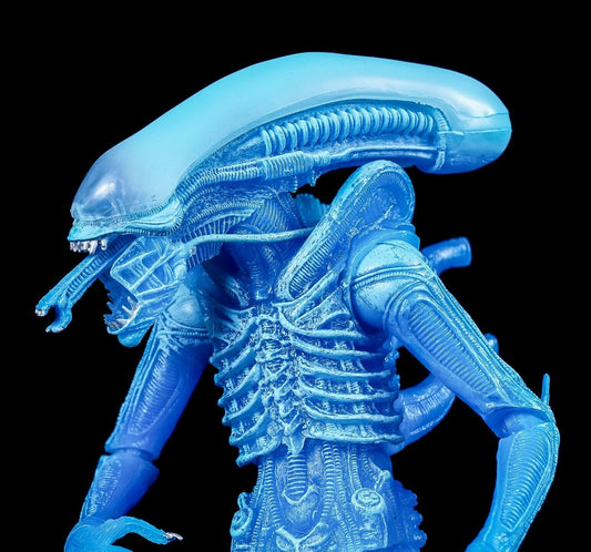 Aliens Series 11 Blue Warrior Alien