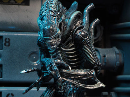 Aliens Ultimate Warrior (Blue) Figura