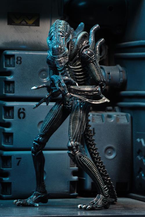 Aliens Ultimate Warrior (Blue) Figura