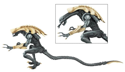 Alien vs. Predator Arcade Appearance Aliens Set of 3 Figuras