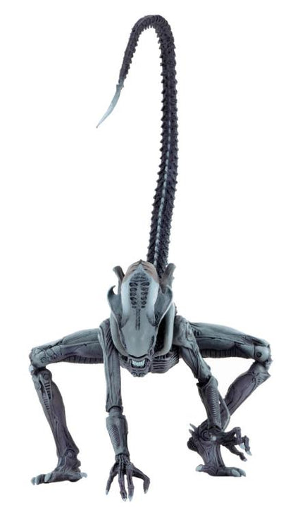 Alien vs. Predator Arcade Appearance Aliens Set of 3 Figuras