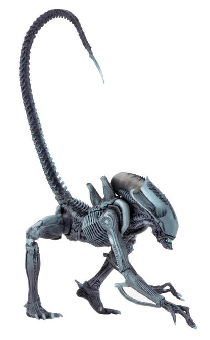 Alien vs. Predator Arcade Appearance Aliens Set of 3 Figuras