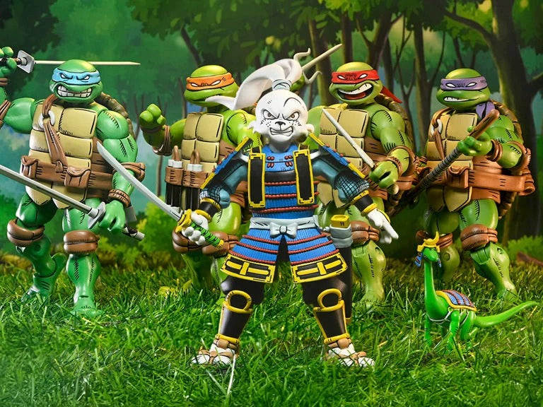 TMNT x Usagi Yojimbo