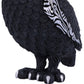 Owlocen Cult Cuties Owl Figurine 30cm