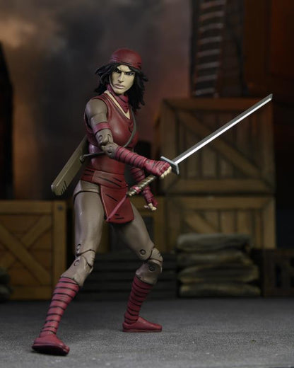 Teenage Mutant Ninja Turtles The Last Ronin Ultimate Karai