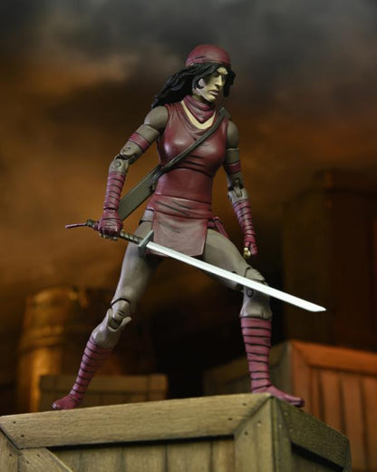 Teenage Mutant Ninja Turtles The Last Ronin Ultimate Karai