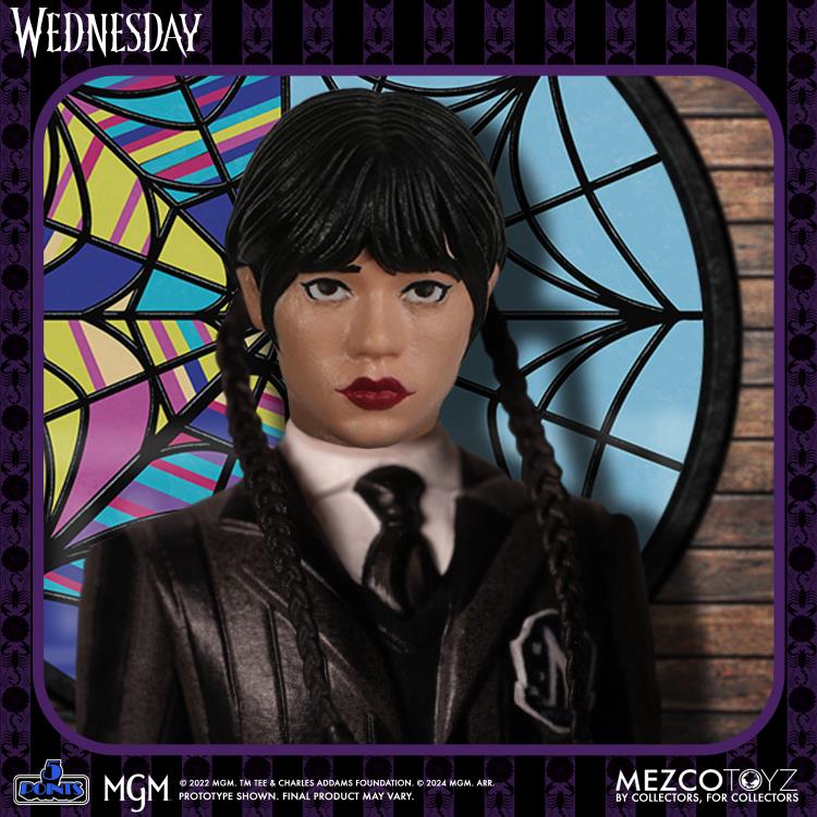 Wednesday 5 Points Wednesday & Enid Boxed Set