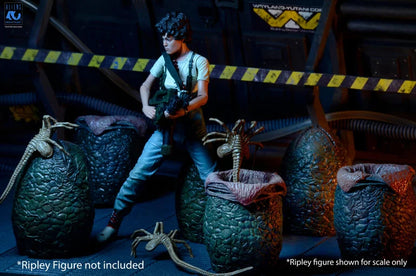Aliens 40th Anniversary Xenomorph Eggs Set 6 Pack in Collectible Carton