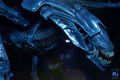 Aliens 40th Anniversary Alien Queen Deluxe Action Figure