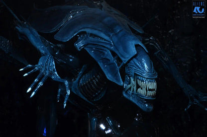 Aliens 40th Anniversary Alien Queen Deluxe Action Figure