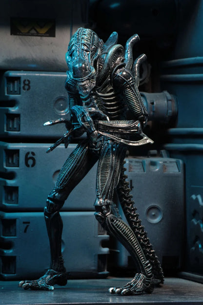 Aliens Ultimate Warrior (Blue) Action Figure