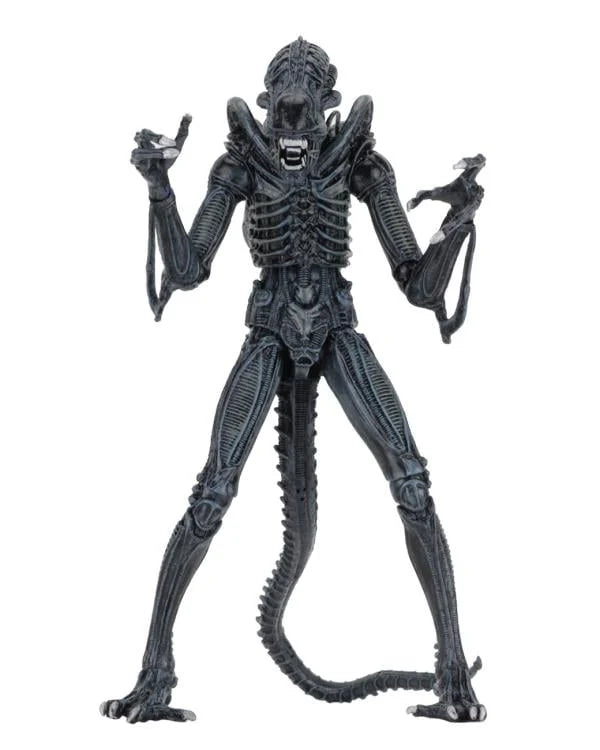 Aliens Ultimate Warrior (Blue) Action Figure