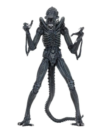 Aliens Ultimate Warrior (Blue) Action Figure