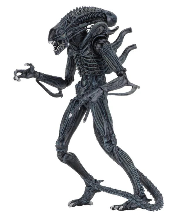 Aliens Ultimate Warrior (Blue) Action Figure