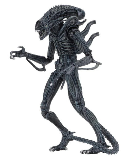 Aliens Ultimate Warrior (Blue) Action Figure