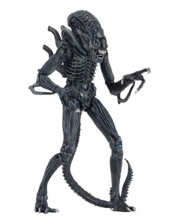 Aliens Ultimate Warrior (Blue) Action Figure