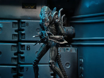 Aliens Ultimate Warrior (Blue) Action Figure