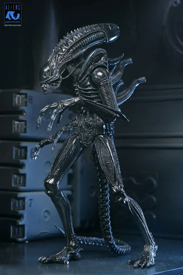 Aliens 40th Anniversary Ultimate Warrior Xenomorph Action Figure