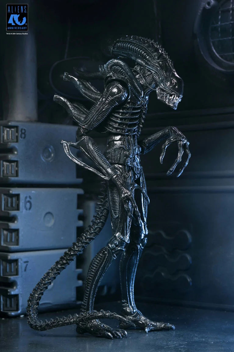 Aliens 40th Anniversary Ultimate Warrior Xenomorph Action Figure