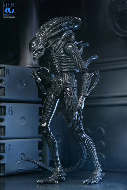 Aliens 40th Anniversary Ultimate Warrior Xenomorph Action Figure
