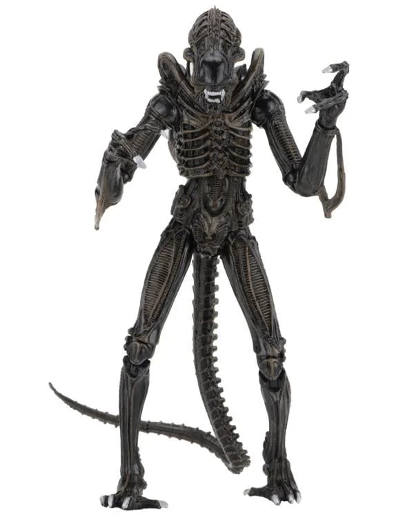 Aliens Ultimate Warrior (Brown) Action Figure