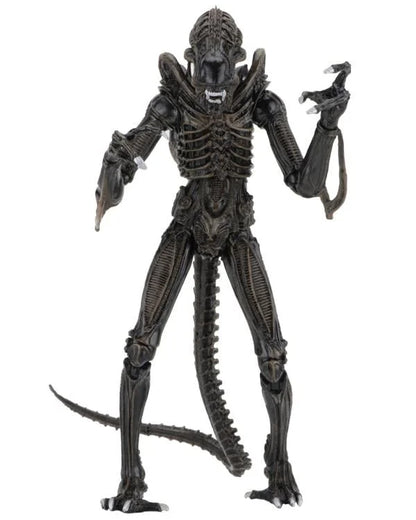 Aliens Ultimate Warrior (Brown) Action Figure