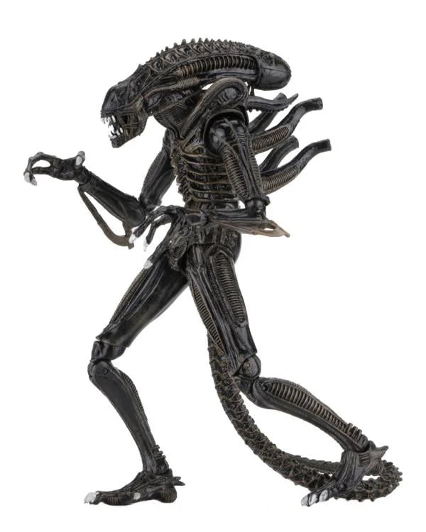 Aliens Ultimate Warrior (Brown) Action Figure