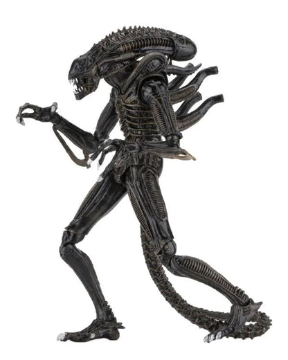 Aliens Ultimate Warrior (Brown) Action Figure