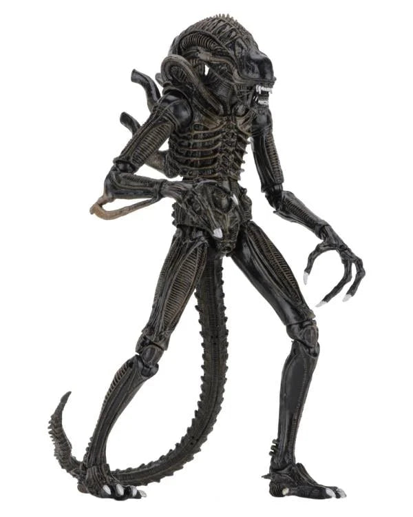 Aliens Ultimate Warrior (Brown) Action Figure
