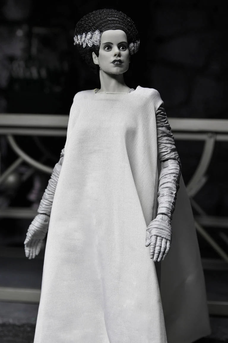 Universal Monsters The Bride of Frankenstein 90th Anniversary The Monster and His Mate Action Figure Two-Pack