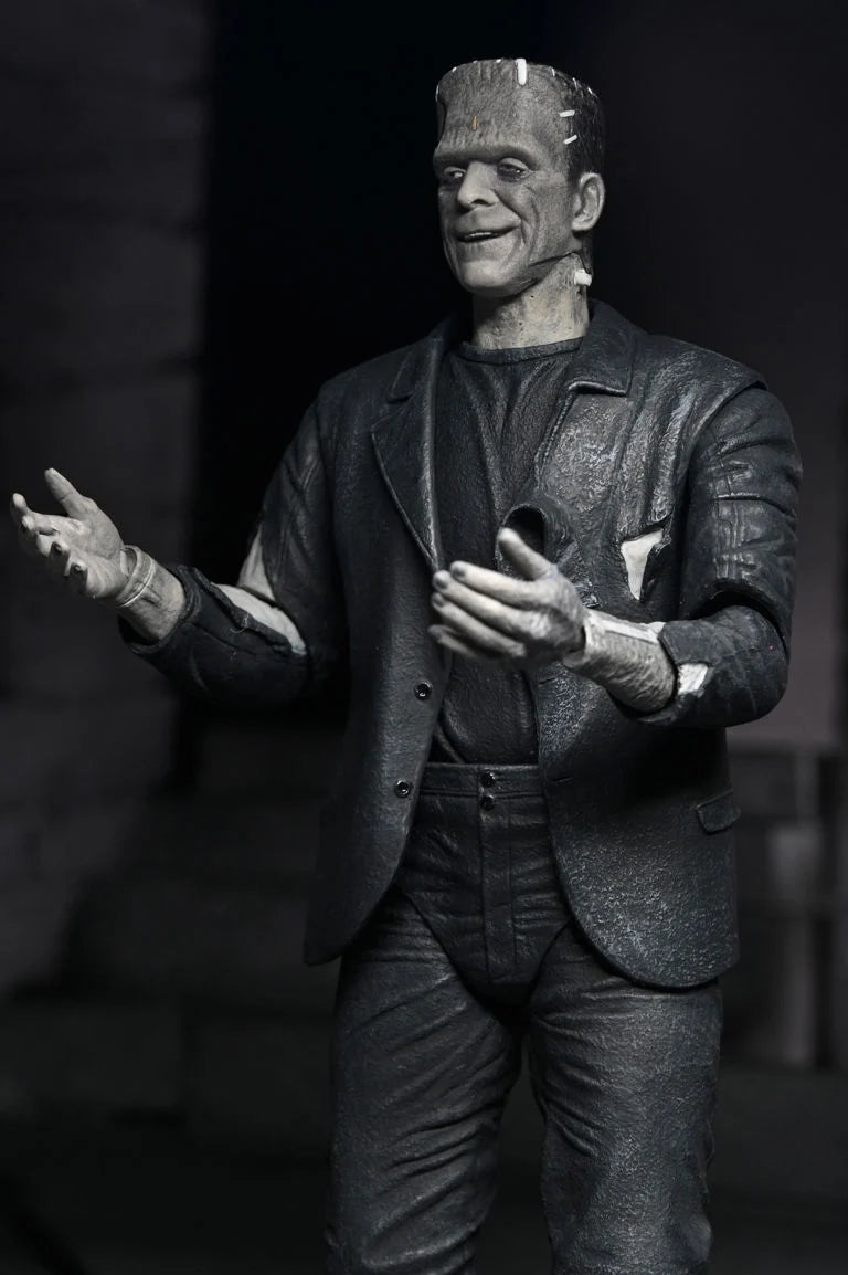 Universal Monsters The Bride of Frankenstein 90th Anniversary The Monster and His Mate Action Figure Two-Pack