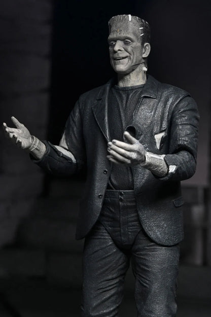 Universal Monsters The Bride of Frankenstein 90th Anniversary The Monster and His Mate Action Figure Two-Pack