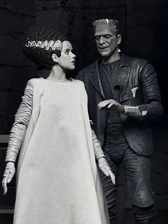 Universal Monsters The Bride of Frankenstein 90th Anniversary The Monster and His Mate Action Figure Two-Pack