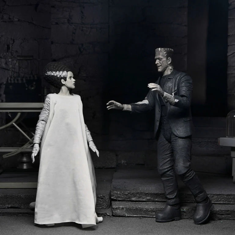 Universal Monsters The Bride of Frankenstein 90th Anniversary The Monster and His Mate Action Figure Two-Pack