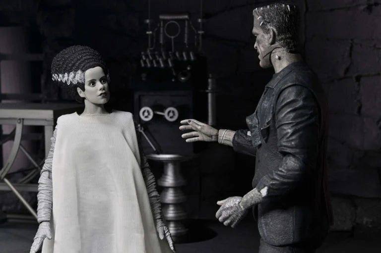 Universal Monsters The Bride of Frankenstein 90th Anniversary The Monster and His Mate Action Figure Two-Pack