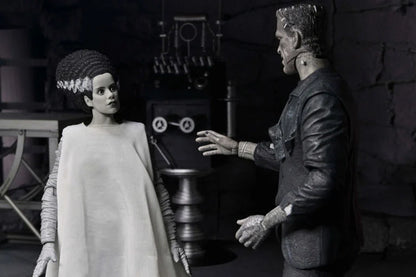 Universal Monsters The Bride of Frankenstein 90th Anniversary The Monster and His Mate Action Figure Two-Pack