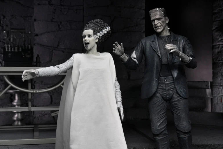 Universal Monsters The Bride of Frankenstein 90th Anniversary The Monster and His Mate Action Figure Two-Pack