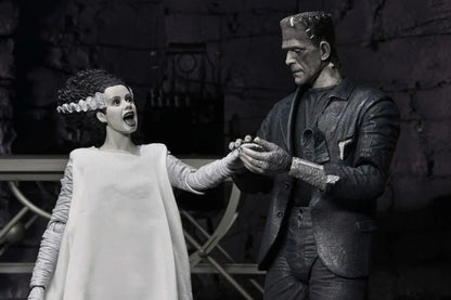 Universal Monsters The Bride of Frankenstein 90th Anniversary The Monster and His Mate Action Figure Two-Pack